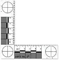 Forensics Source 6-3875 ABFO No. 2 Bitemark Scale : Amazon.in: Office ...