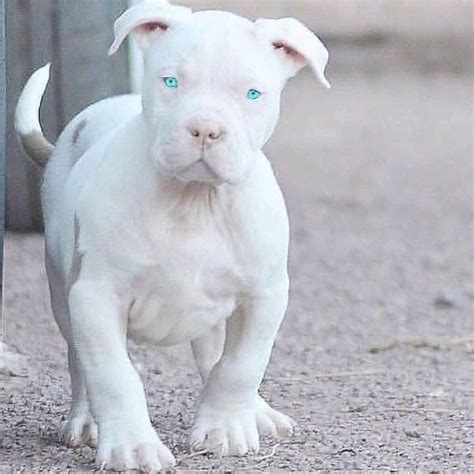 Elif ceylin - YouTube