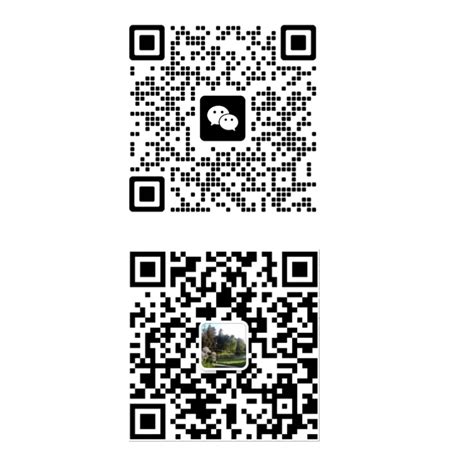 Spring Academy 的图像结果