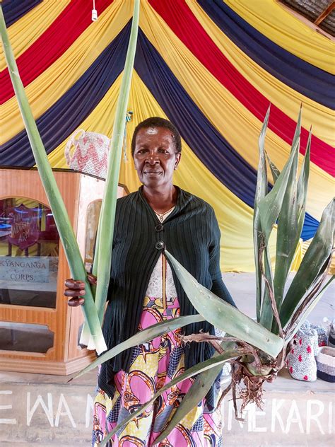 Sisal karfa, stór, svört – others-iceland