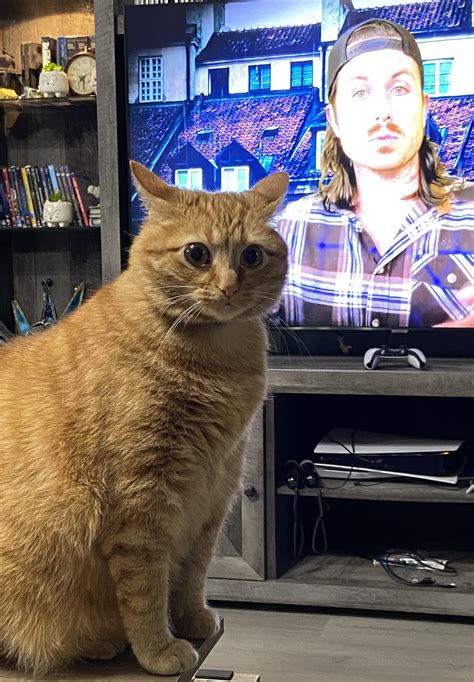 Mr Ballen Scary Stories 的图像结果