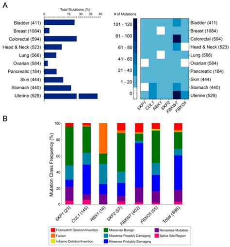 A Comprehensive Assessment of Genetic and Epigenetic Alterations ...