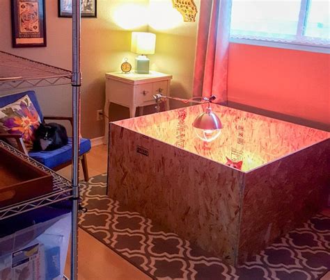 Image result for DIY Brooder Box