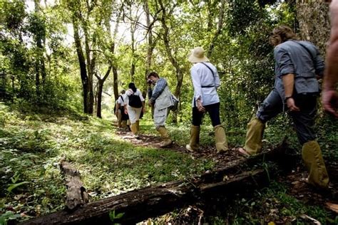 Top 15 Places for Trekking in Kerala | Detailed Adventure Guide