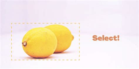 Photoshop Object Selection Tool 的图像结果