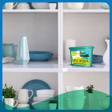 Absorbia Classic Moisture Absorber, 300GMS Pack of 3 Pcs For Wardrobes ...