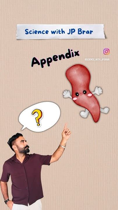Image result for Shapeshifter Appendix
