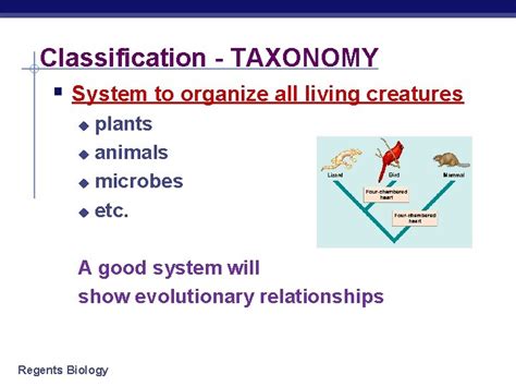 Image result for Taxonomy HTML/JavaScript