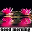 Image result for Good Morning Flowers for Her