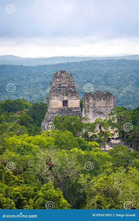 Top of Mayan Temples at Tikal National Park - Guatemala Stock Image ...