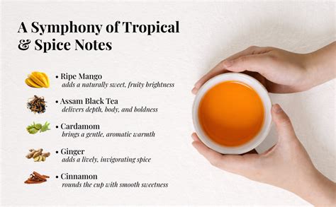Mittal Teas Mango Chai | Exotic Spiced Black Tea Blend with Real Mango ...