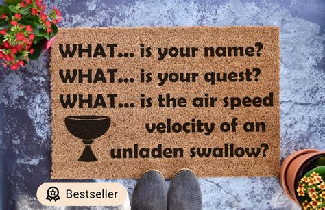 Image result for Monty Python Bridge Troll