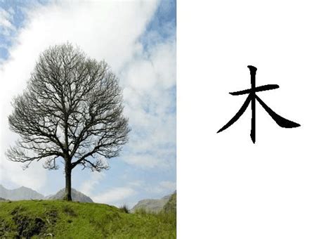 「攀」の書き順(画数)｜正しい漢字の書き方【かくなび】