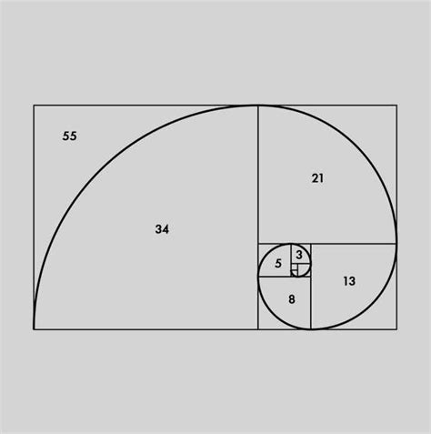 Image result for Fibonacci Code