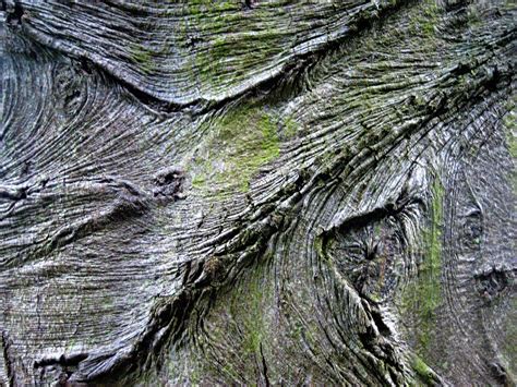 Image result for Creative Writing Courses