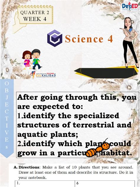 Image result for Science Quarter 4 Module