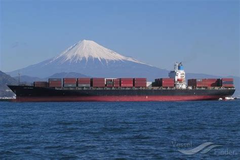 MSC GRENADA III, Container Ship - Details and current position - IMO ...