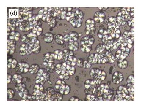 Inverse Temperature Crystallization Method 的图像结果