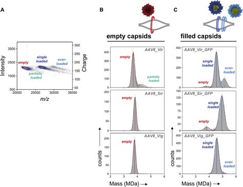 Image result for Orbitrap Detector