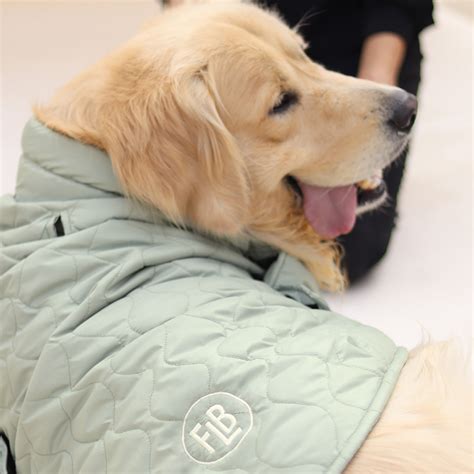 New Quilted Dog jacket Pistache – FourLeggedBabies