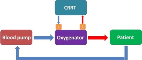 CRRT Recirculation 的图像结果