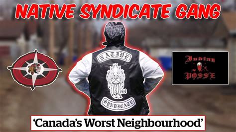Image result for Native Syndicate