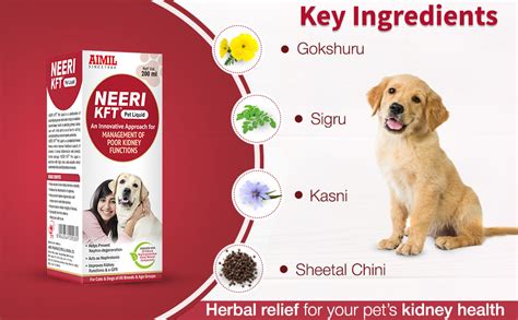 AIMIL Neeri KFT Pet Liquid Herbal Medicine