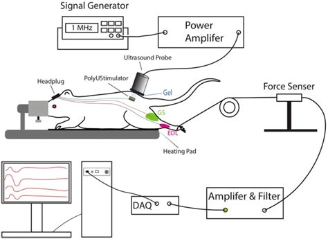 Reviewing Breakthroughs and Limitations of Implantable and External ...