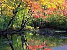 Best Autumn Wallpapers Hd by Autumn Wallpapers Hd Best Autumn Wallpapers Hd Best Autumn Wallpapers Hd