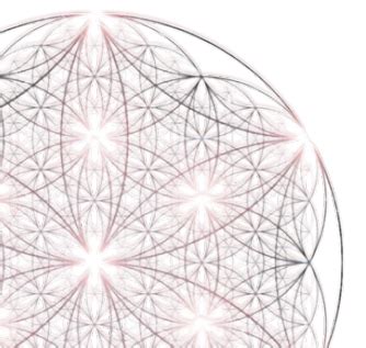 Aeterna | Zoya Online Store