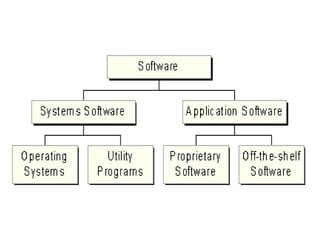 Application Software Packages 的图像结果
