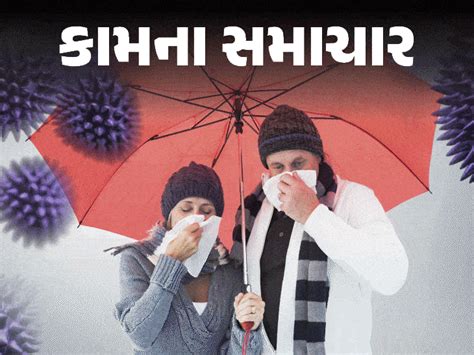 Rainy Season Diseases: Dengue, Malaria, Typhoid Symptoms, Prevention ...