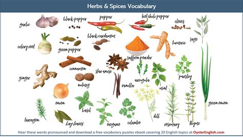 Spices Names In English – 30 Types of Spices: Ultimate List of Spices ...