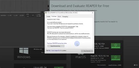 Reaper Setup Tutorial 的图像结果