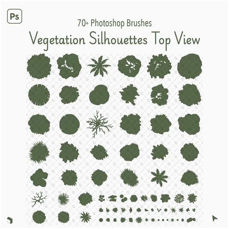Photoshop Trees Plan View