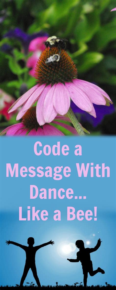 Image result for Bee Dance Language