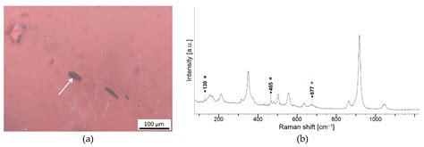Raman Microspectroscopy of Garnets from S-Fibulae from the ...