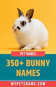 Image result for Rabbit Pattern Names