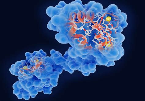 Image result for Fast Loop Omega