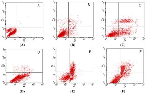 Antitumor Effects of Rapamycin in Pancreatic Cancer Cells by Inducing ...