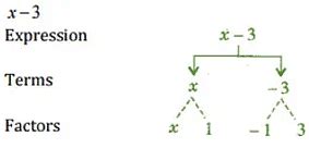 NCERT Solutions for Class 7 Maths - Algebraic Expressions- 1