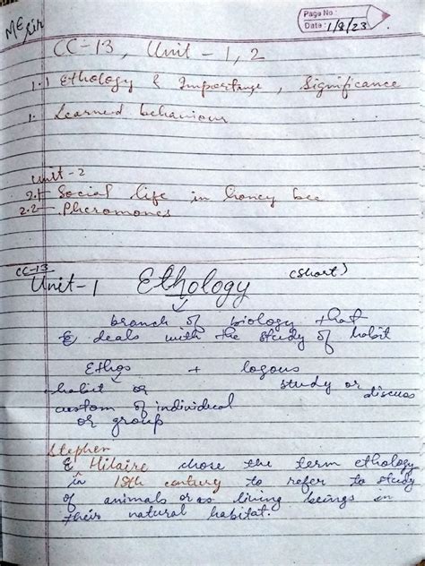 Class Notes | PDF