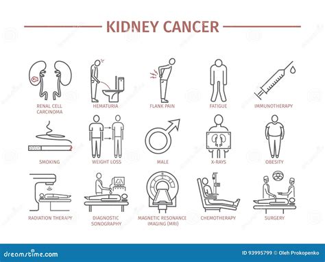 Cancer Kidneys Symptoms - 5 Signs and Symptoms of Kidney Cancer : Learn about symptoms ...
