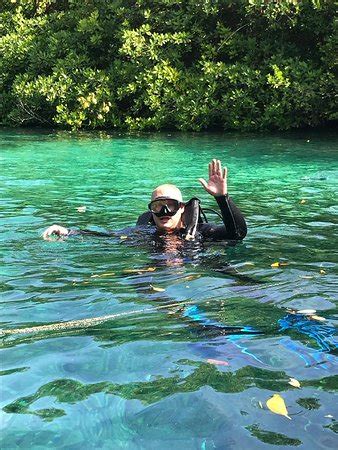 DIVE GUIDE (Cancun) - 2022 What to Know Before You Go (with Photos ...