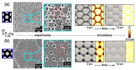 New Approaches and Understandings in the Growth of Cubic Silicon Carbide