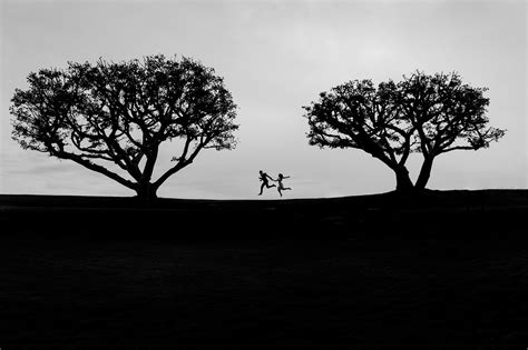 Environment Photography Examples 的图像结果