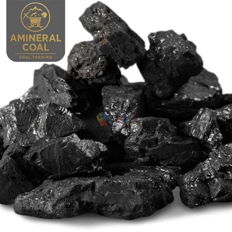 perusahaan tambang nikel di papua - Bangkitin