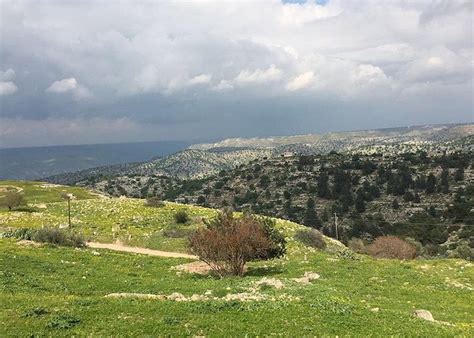 Umm Qais Tourism (2023): Best of Umm Qais, Jordan - Tripadvisor