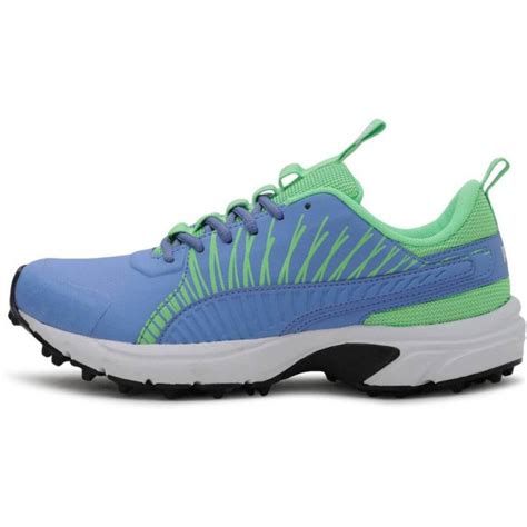 Puma Square Cricket Shoes For Men (Blue) – Sportswing.in