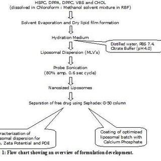 Image result for Chart for Formulation Development